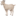 ๐